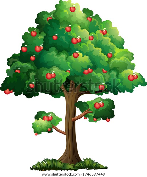 Apple Tree Isolated On White Background Stock Vector (Royalty Free ...