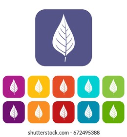 Apple tree leaf icons set vector illustration in flat style In colors red, blue, green and other