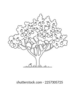 Apple tree. Line drawing. Orchard garden harvest. Vector cartoon Illustration. Editable outline stroke.