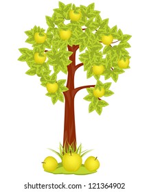 Apple Tree on white background is insulated