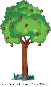 Apple tree on white background.