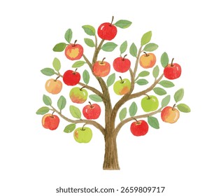 An apple tree on a white background (vector)