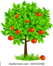 Apple tree with red apples on green grass. Vector illustration