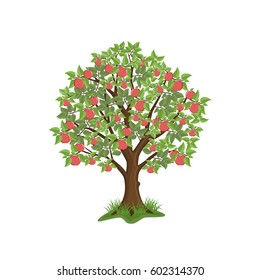 Apple tree with red fruits on white background. Isolated vector illustration.