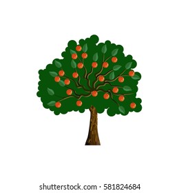 Apple tree with red apple fruits. Vector illustration