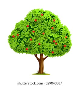 Apple tree with red apple isolated on white background. Vector illustration
