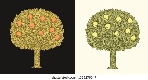 Apple tree with ripe apples on the branches. Design set. Hand drawn engraving. Editable vector vintage illustration. Isolated on light and dark backgrounds. 8 EPS