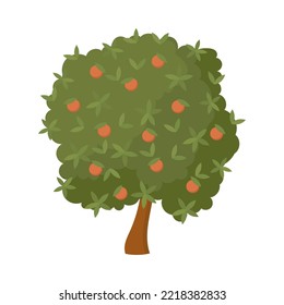 Apple tree with ripe fruits cartoon illustration. Garden or orchard plant during fruit ripening isolated on white background. Nature, food concept