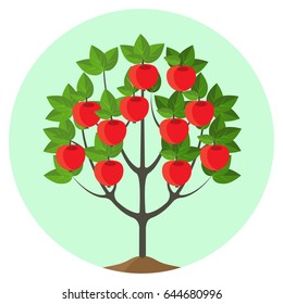 Apple tree with ripe fruits vector illustration in round button.