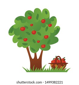 Apple tree with ripe red apples and apple basket on the green grass. 