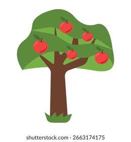 Apple tree with ripe red apples. Vector of tree with fruits, gardening, apple harvest