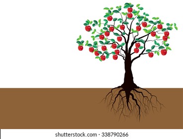 Apple tree with roots underground vector illustration