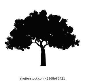 Apple tree silhouette isolated on white background.