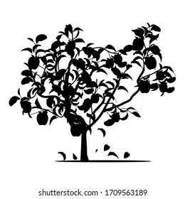 apple tree silhouette on a white background, vector
