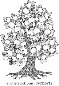 Apple Tree. Vector Elements. Coloring Book For Adult. Doodles For Meditation