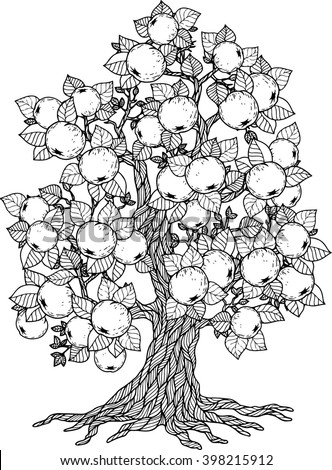 apple tree vector elements coloring book stock vector