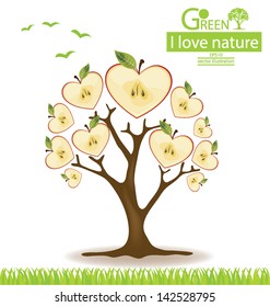 Apple tree. vector illustration.