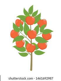 Apple tree. Vector illustration. Fruit tree plant. Flat vector color clipart. Ripe red apples on a tree.