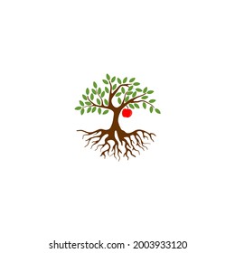 apple tree vector logo eps10.