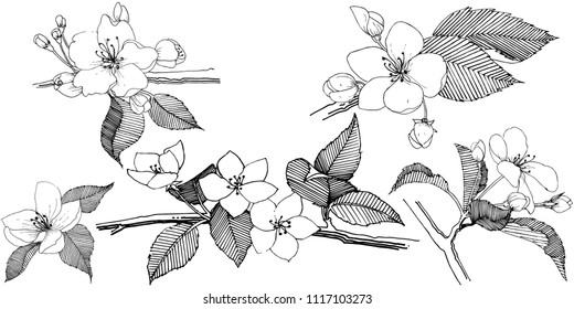 Apple tree in a vector style isolated. Full name of the plant: apple tree. Vector flower for background, texture, wrapper pattern, frame or border.