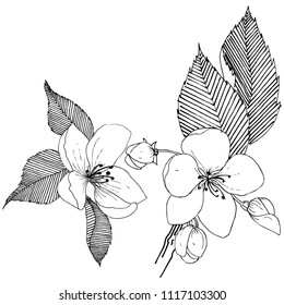 Apple tree in a vector style isolated. Full name of the plant: apple tree. Vector flower for background, texture, wrapper pattern, frame or border.