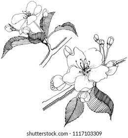 Apple tree in a vector style isolated. Full name of the plant: apple tree. Vector flower for background, texture, wrapper pattern, frame or border.