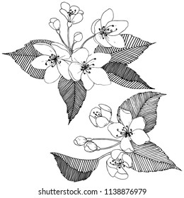 Apple tree in a vector style isolated. Full name of the plant: apple tree. Vector flower for background, texture, wrapper pattern, frame or border.