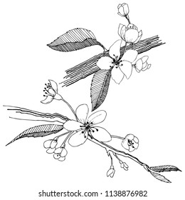 Apple tree in a vector style isolated. Full name of the plant: apple tree. Vector flower for background, texture, wrapper pattern, frame or border.