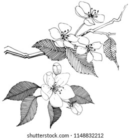 Apple tree in a vector style isolated. Full name of the plant: Apple tree. Vector flower for background, texture, wrapper pattern, frame or border.