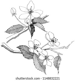 Apple tree in a vector style isolated. Full name of the plant: Apple tree. Vector flower for background, texture, wrapper pattern, frame or border.