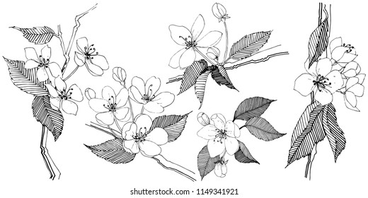 Apple tree in a vector style isolated. Full name of the plant: Apple tree. Vector flower for background, texture, wrapper pattern, frame or border.