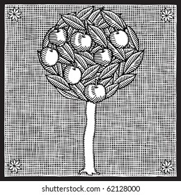 Apple Tree Woodcut