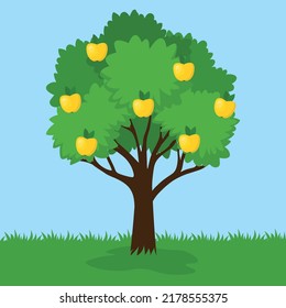 Apple tree with yellow apples