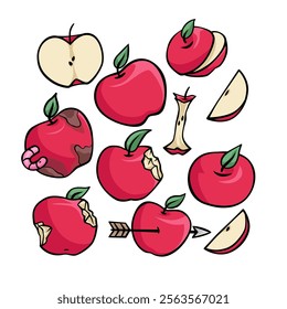 Apple with various condition and view fruit organic agriculture filled line handdrawn doodle sketch illustration
