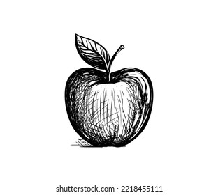 Apple Vector Art For Cross Hatching Drawing