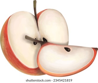 Apple Vector collections for decoration , illustration , element , design
