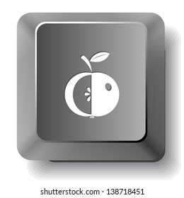 Apple. Vector computer key.