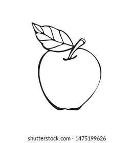 Apple Vector Drawing Black White Contour Stock Vector (Royalty Free ...