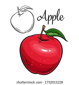 Apple vector drawing icon. Hand drawn fruit in retro style, illustration for design advertising products shop or market.