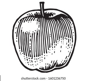 Apple. Vector. Drawn with marker. Sketch. A quick drawing of an apple on paper. A simple rough sketch in one line. Monochrome isolated object on a white background.