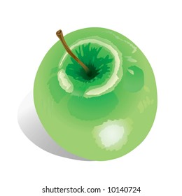 Apple (vector). In the gallery also available XXL jpeg image made from this vector