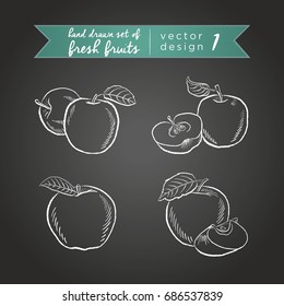 Apple. Vector hand drawn collection of sketch fresh fruits illustration on blackboard. Isollated