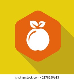 Apple vector icon. Apple fruit illustration icon. Web design vector logo. Apple isolated on background.
