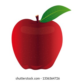 Apple vector illustration