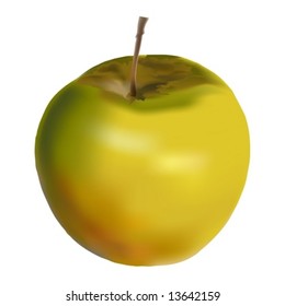 apple vector illustration