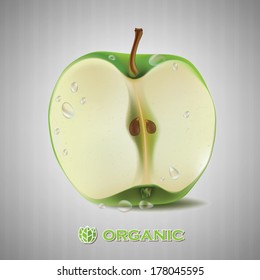 apple vector illustration.