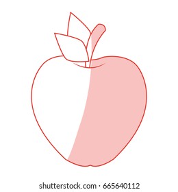 Apple vector illustration