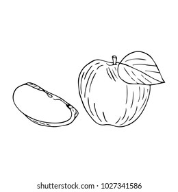 Apple vector illustration. Doodle style. Design, print, logo, decor, textile, paper