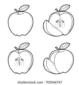 Apple Vector Illustration Hand Drawn Fruit Cartoon Art