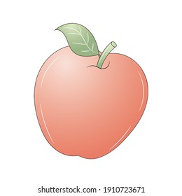 Apple vector illustration, isolated colored hand drawn linear style 